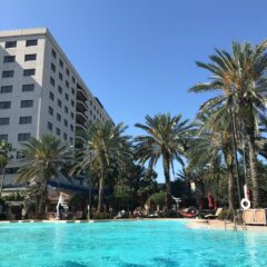 Poolside in Orlando